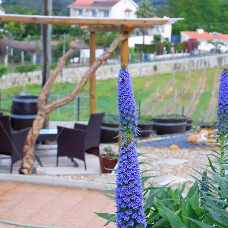 Casa Da Fonte Monção