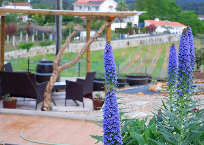 Casa Da Fonte Monção